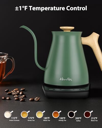 Gooseneck Electric Kettle (Green / 0.8 Quarts)