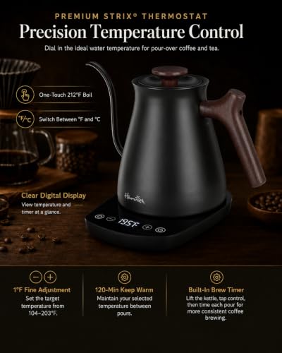 Gooseneck Electric Kettle (Black / 0.8 Quarts)