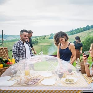 4 Pcs Extra Large Mesh Food Cover Tent Umbrella for Outside Parties (40 "x24" 17 "x 17")