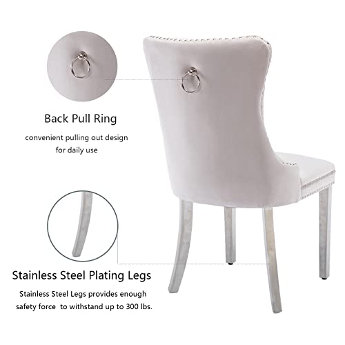 Beige Velvet Dining Chairs Set of 6 (Natural Beige)