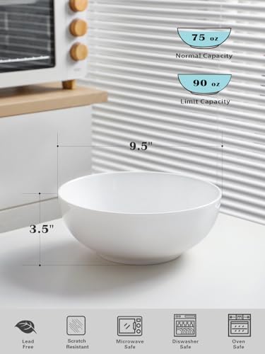 Large Serving Bowls (9.5 Inch / White)
