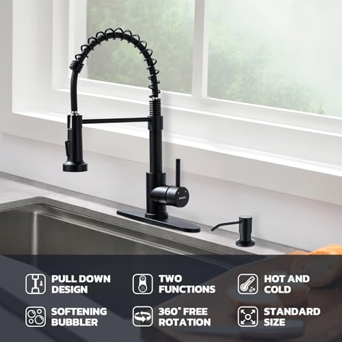 Kitchen Faucet with Soap Dispenser (Matte Black)
