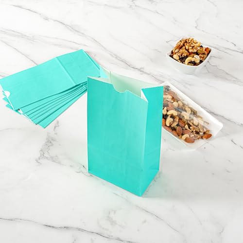 Turquoise Paper Bag (4 lb / Turquoise)