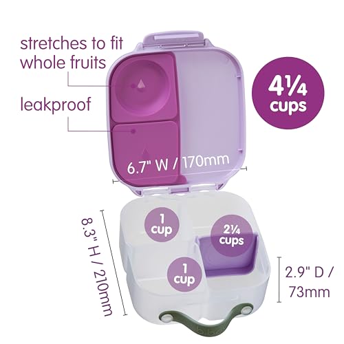 Mini Lunch Box (Sugar Plum / 1-pack)