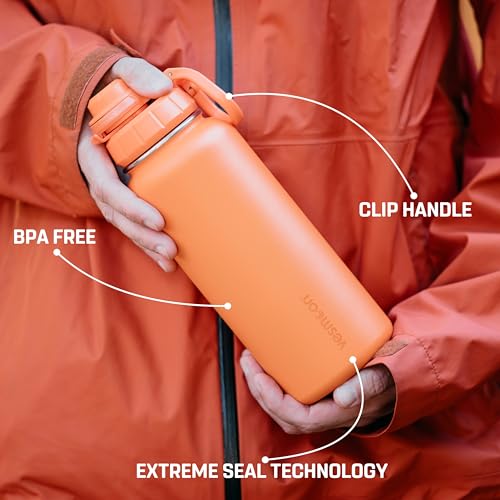 Vessence 24 Oz Stainless Steel Tea Infuser Bottle for Loose Leaf Tea (Mojave Orange / 24 Oz)