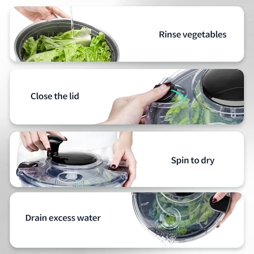 Stainless Steel Salad Spinner (Transparent Lid)