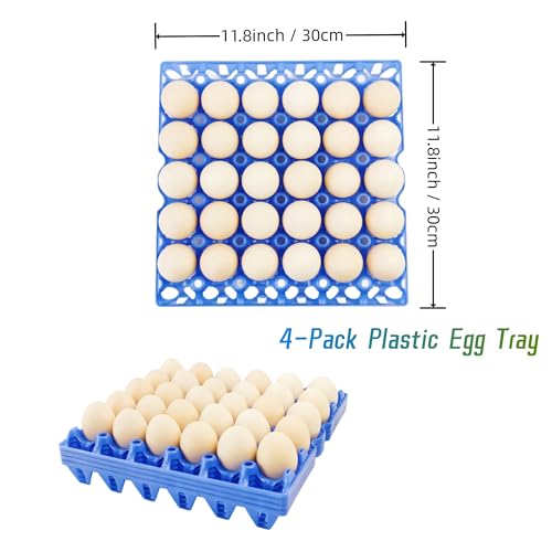 4 Pack Blue Rectangular Plastic Egg Tray (4 Count)