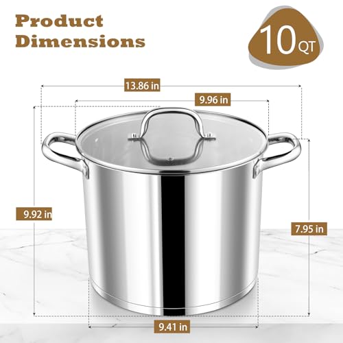 10 QT Stainless Steel Stock Pot with Lid (10 Quarts)