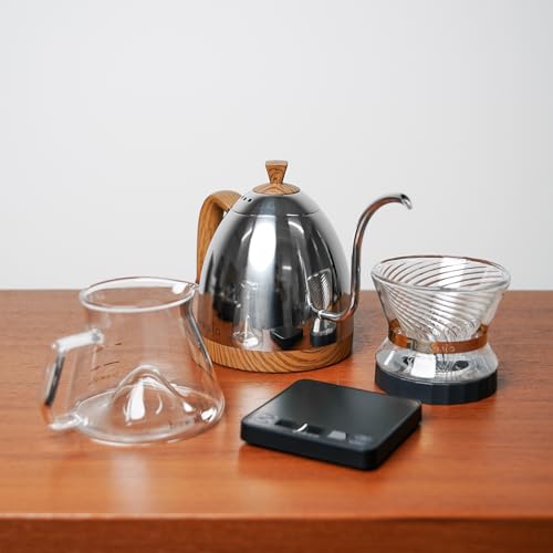 Artisan Electric Gooseneck Kettle (Mirror Polished)