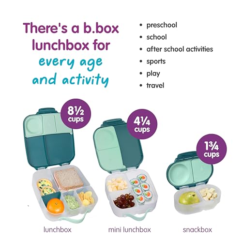 Snack Box 2 Pack (2 Count)