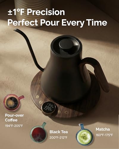 Gooseneck Electric Kettle (Glossy Black)