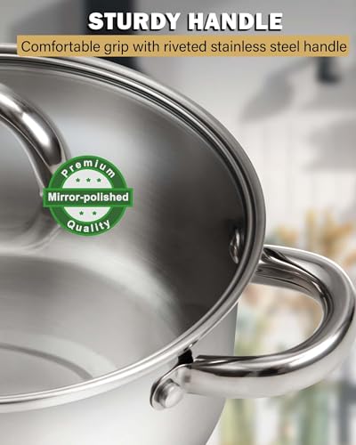 Basics 16 Quart Stainless Steel Stock Pot with Lid (16 Quarts / Silver)