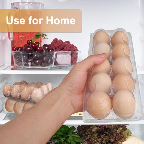 98 Pack Bulk Egg Cartons (98 Pack Egg Cartons 10 Grids)