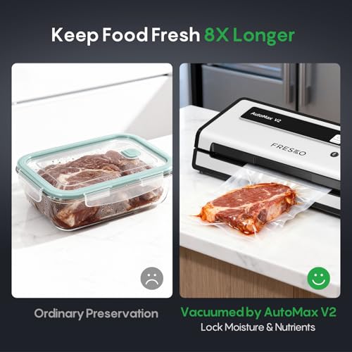 Vacuum Sealer Machine with Automatic Bag Detection (Silver Black / Large)