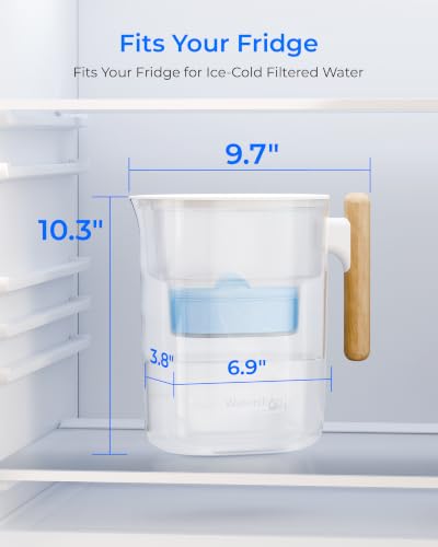 PT-04C-A Alkaline Water Filter Pitcher, 10-Cup Capacity, Clear