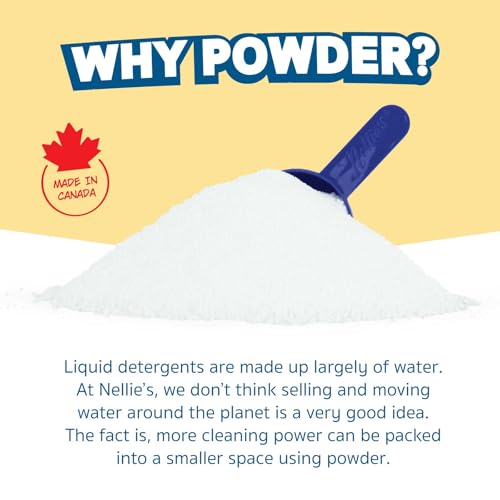 Dishwasher Powder (17.5 Ounce (Pack of 1))
