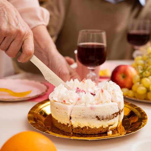 300 Count Compostable Wooden Disposable Knives for Party (brown-knives)