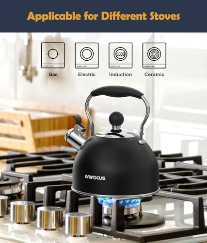 Tea Kettle 2 Quart Stainless Steel Whistling Tea Kettle (Black)