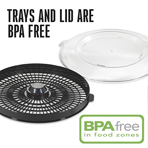 Food Dehydrator Machine for Jerky (Temperature Control (100-160F) / 4 Stackable Trays, Black & Stainless Steel Accents)