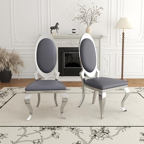 Modern Dining Chairs Set of 2 (Grey/Silver / Set of 2)