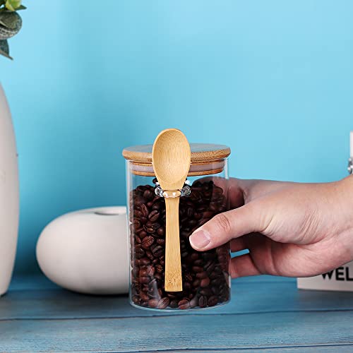 Glass Jar with Bamboo Lid and Spoon (Round/17oz*3/Bamboo Lid)