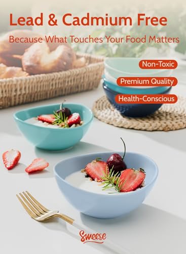 10 oz Small Porcelain Bowls (6 Count)