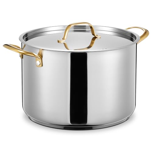 12 QT Stainless Steel Stock Pot (12 Quarts)