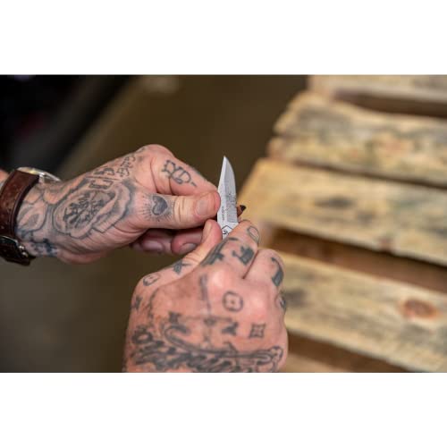 Gear Paraframe Mini Pocket Knife (0.4" / Paraframe Mini (Serrated Edge))