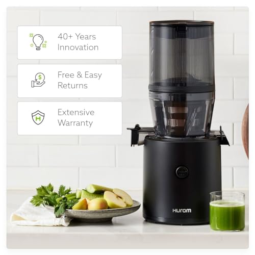 H320 Cold Press Juicer Machine (Black Slow Juicer)