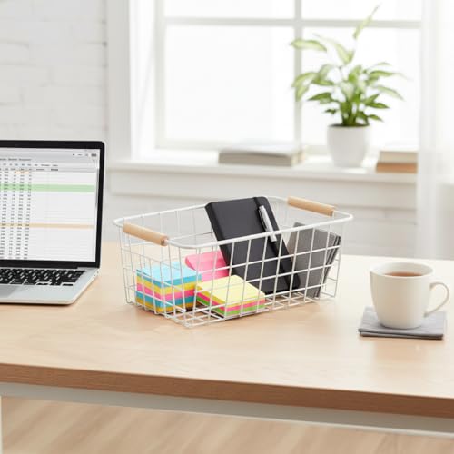 Metal White Wire Basket (White / 2-Medium)