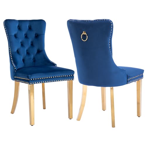 Blue Velvet Dining Chairs Set of 2 (Natural Blue)