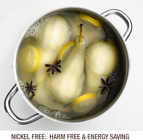 Stock Pot 6 Quart Nickel Free Stainless Steel (Shiny Silver - Mirror Polished Stainless Steel / 6 Quarts)