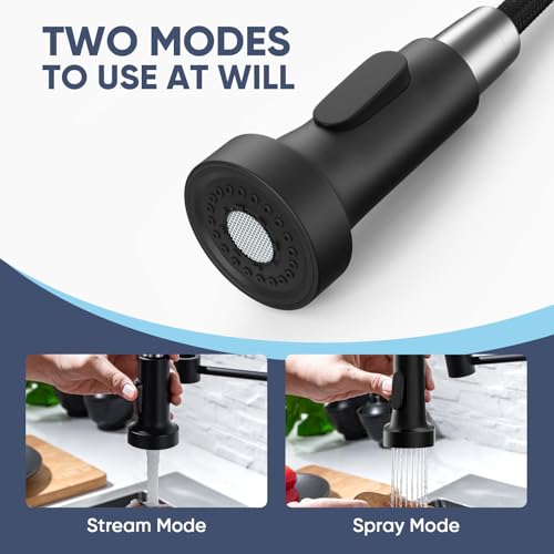 Black Kitchen Faucet with Pull Down Sprayer (Matte Black)