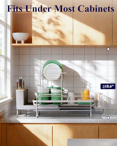 Extendable Dish Drying Rack (2-Tier / Gray)