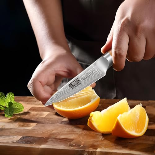 Damascus Paring Knife 3.75" (3.75 inch Paring Knife)