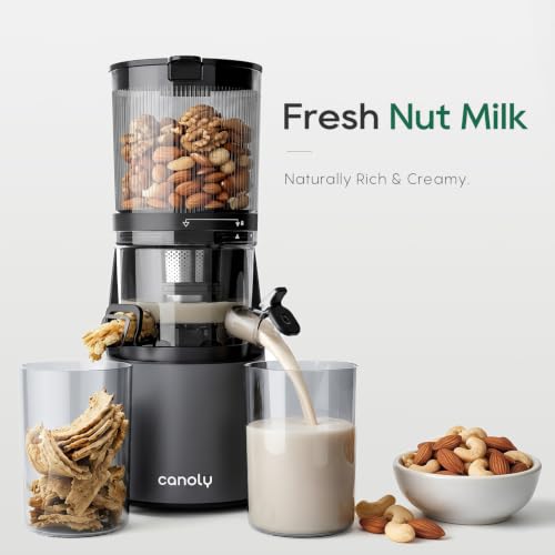 3-in-1 Cold Press Juicer C16, Makes Juice & Sorbet & Nut Milk (Space Gray)