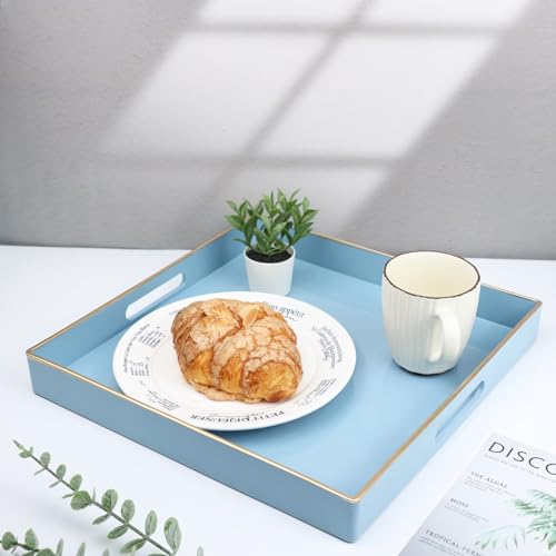 Light Blue Decorative Tray for Living Room (Bs002r)