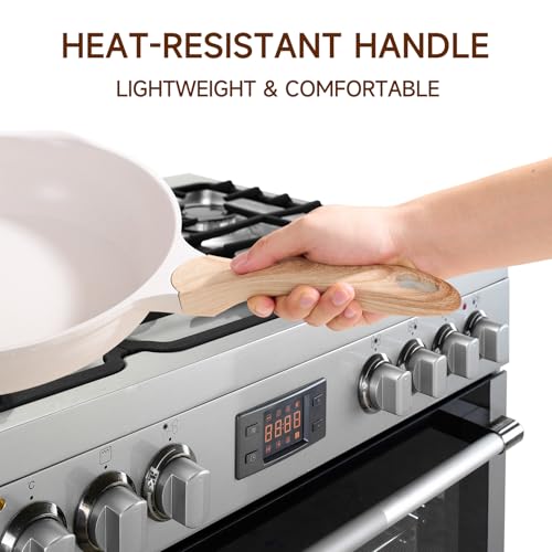 10 Inch Nonstick Frying Pan Skillet with Dual Spouts Cooking Pan (Beige / 10")