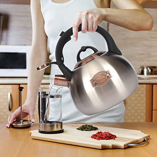 3.1 Quart Teal Whistling Tea Kettle for Stove Top (Silver)