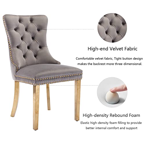 Grey Velvet Dining Chairs Set of 2 (Classic Gray)