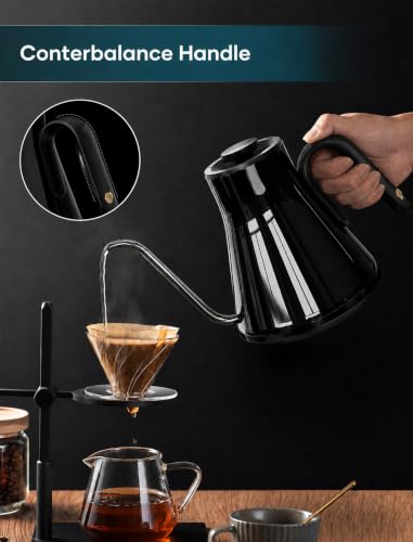 Gooseneck Electric Kettle with ±1℉ Temperature Control 0.9 Liter (Soulages Black)