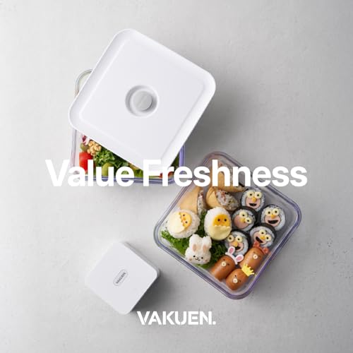 Premium Airtight Food Storage Containers (MINI SQUARE 0.8LX2PCS)