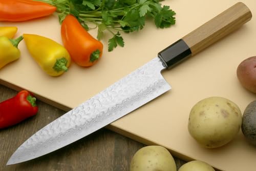 VG10 46 Layers Hammered Damascus Gyuto Japanese Chefs Knife (8.3")