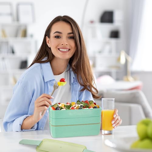 Bento Box Adult Lunch Box (900ml)