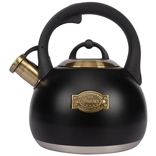 Tea Kettle for Stovetop (Black)