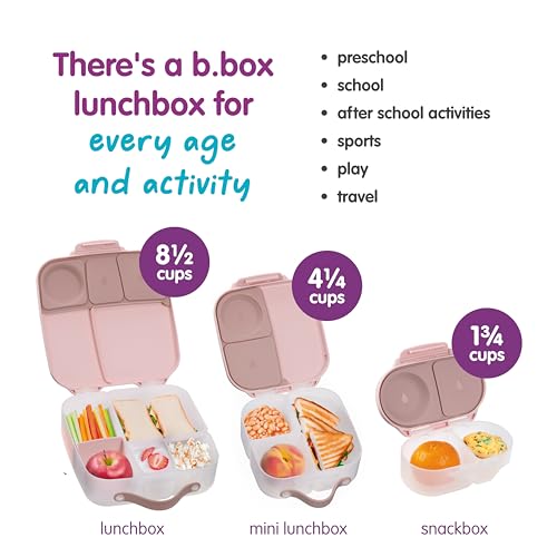 Mini Lunch Box
