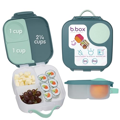 Mini Lunch Box