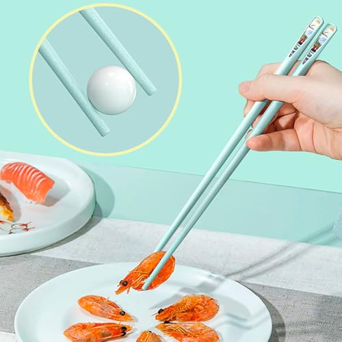 Reusable Fiberglass Chopsticks (Round)