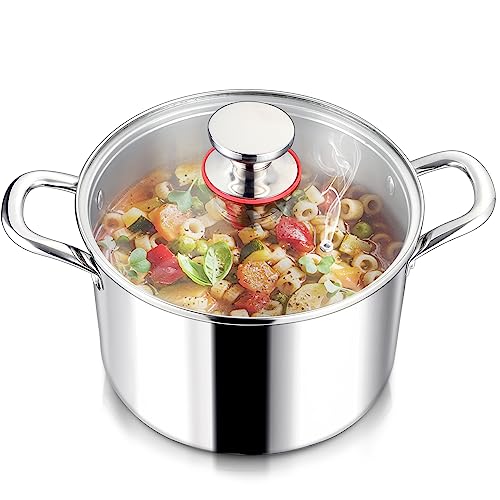 6QT 18 10 Stainless Steel Stockpot with Lid (6 Quarts)