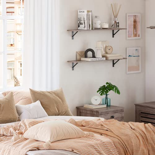 Long Wall Shelves (Greige / 31.5 Inch)